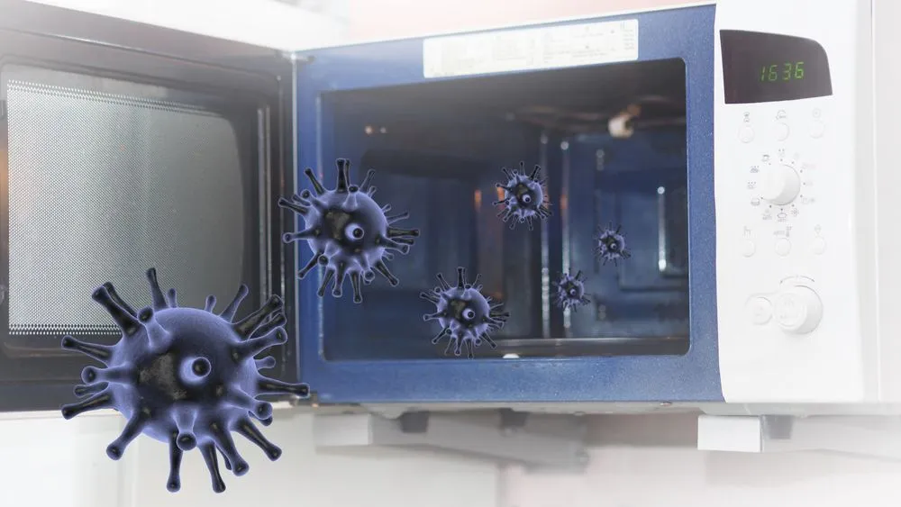 The concept of the spread of harmful bacteria in the microwave(Popel Arseniy)s