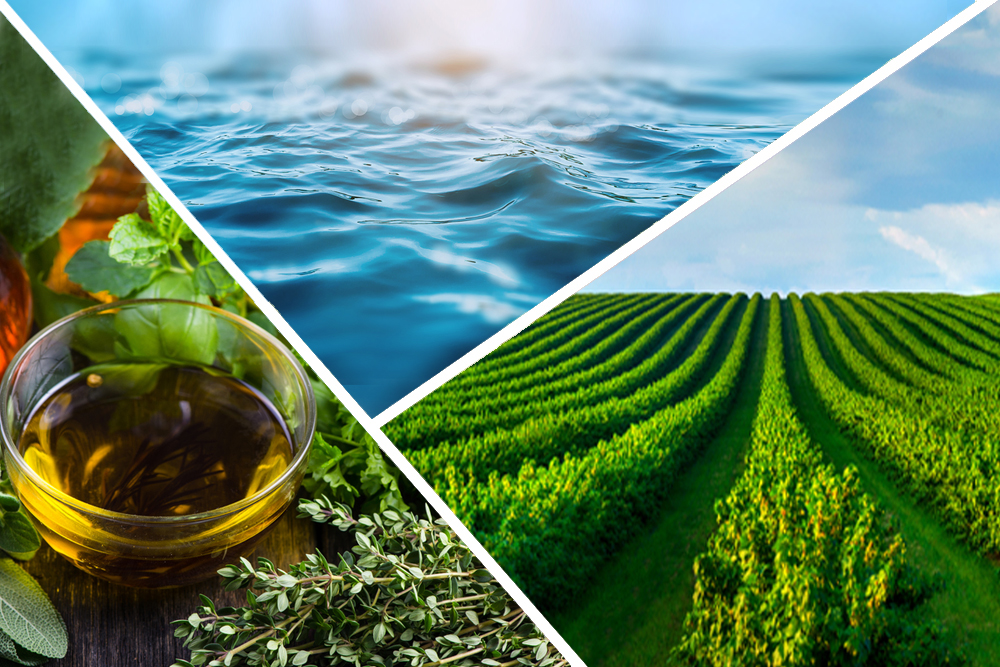 The many provisioning resources and services ecosystems provide.