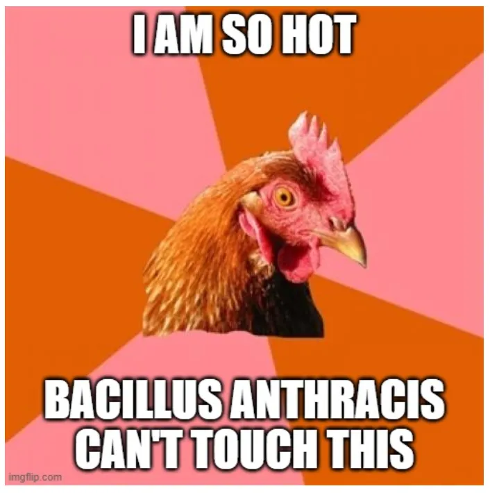 Guess you don’t have to worry about anthrax while eating chicken