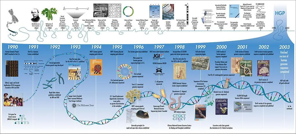 Human Genome Project Timeline