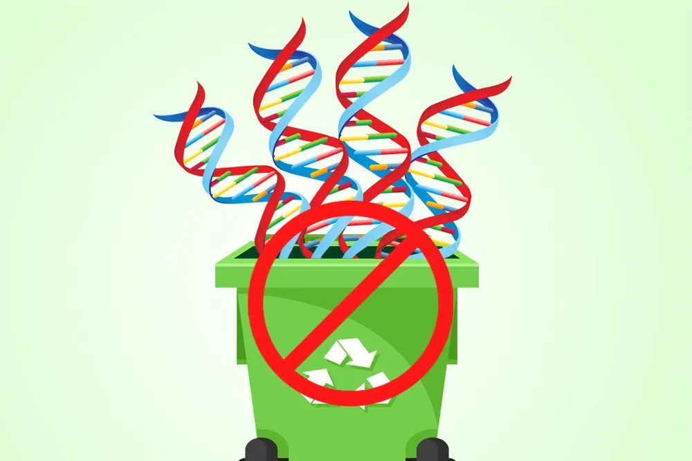 Is 98% Of Our DNA Really Junk?