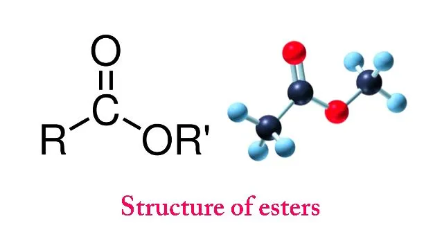 What Are Esters? - Formation, Properties And Uses