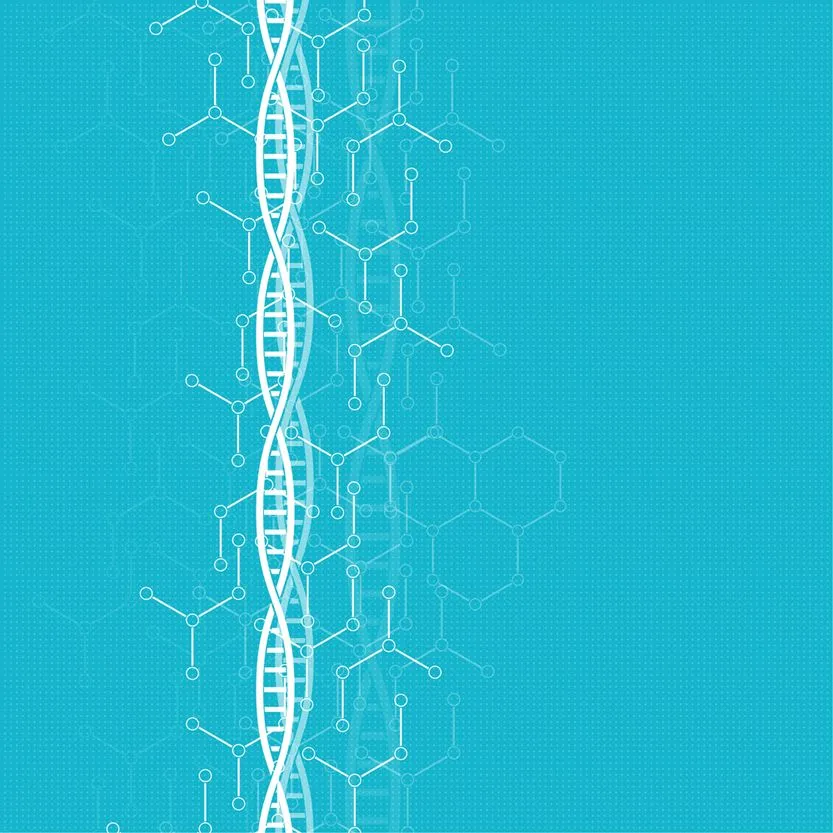 What Are The Two Rare Amino Acids?