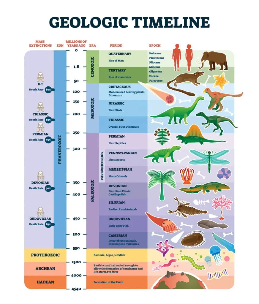 Geologic timeline scale vector illustration(VectorMine)s
