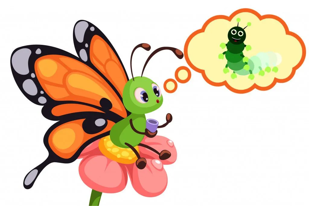 Do Butterflies Remember Being Caterpillars?