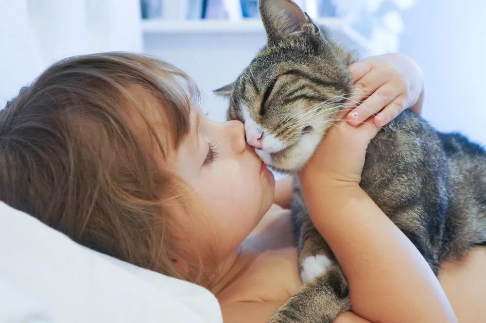 Signs Your Cat Loves You: How To Tell If Your Cat Loves You?