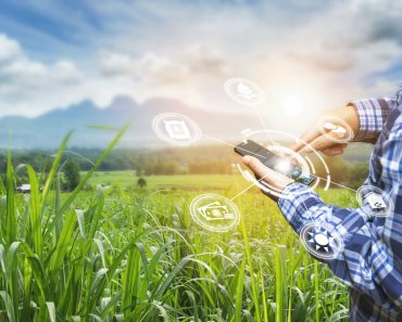 Innovation technology for smart farm system, Agriculture management(gan chaonan)s