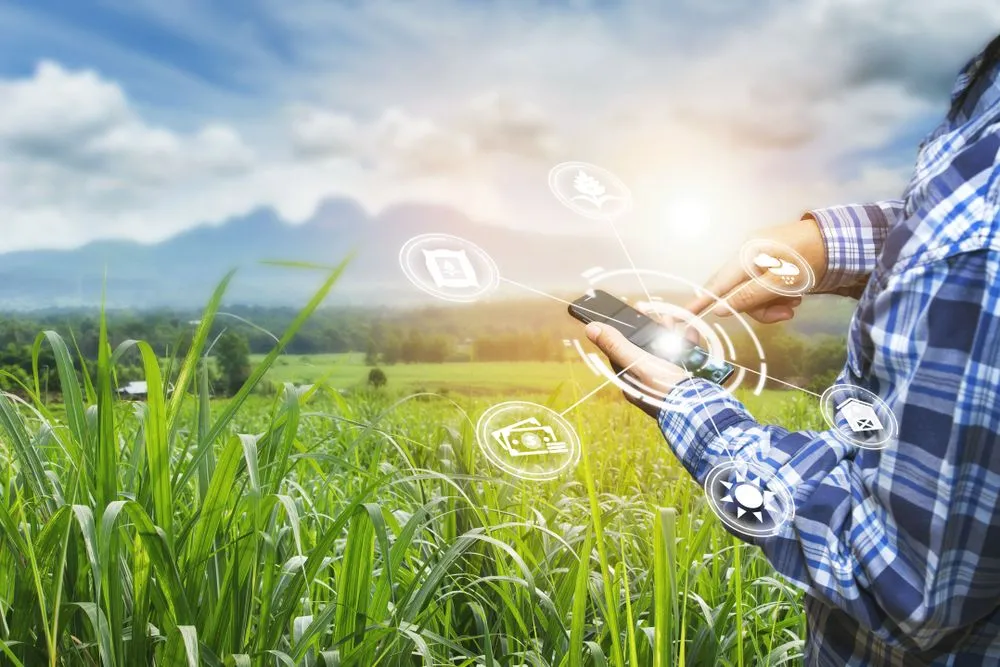 Biomimicry: How Nature Inspires Technology?