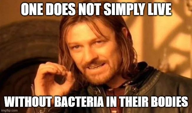 How Do Gut Bacteria Help Digestion?