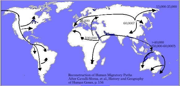 Cavalli-Sforza Human Migration Paths