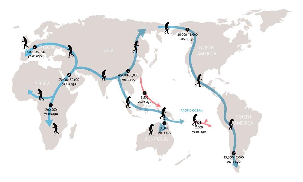 illustration of biology and historty, History of human migration(Nasky)S