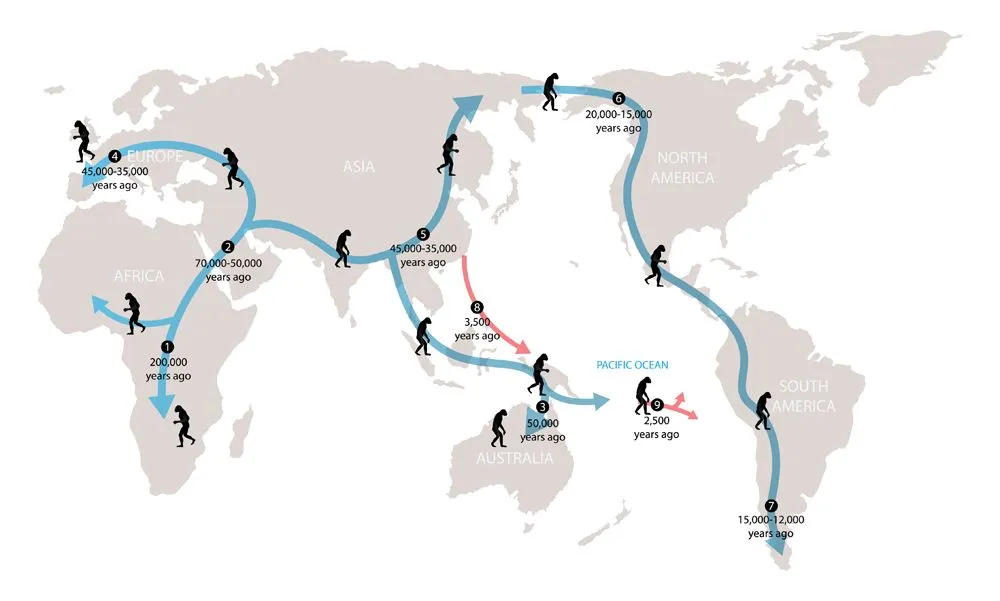 illustration of biology and historty, History of human migration(Nasky)S