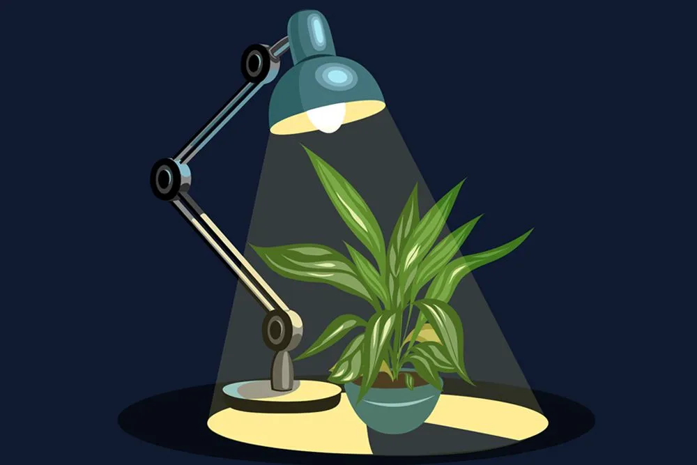 Growing Plants In Artificial Light: Can Plants Grow In Artificial Light?
