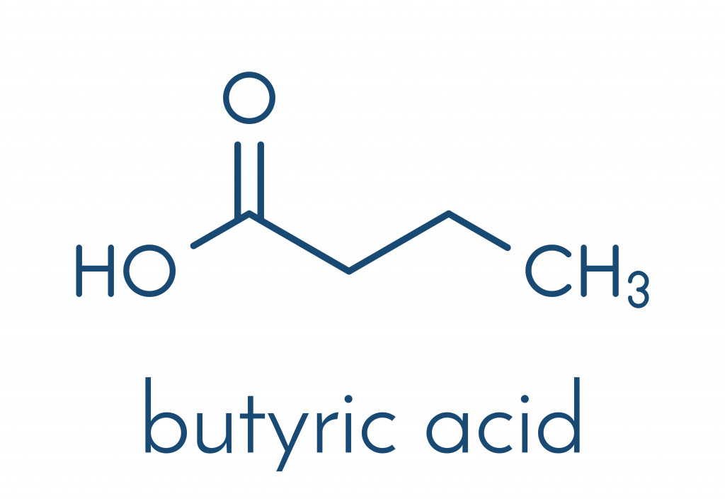 Butyric acid(StudioMolekuul)s