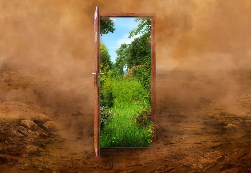 Desert Greening: Can You Turn Desert Into Forest?