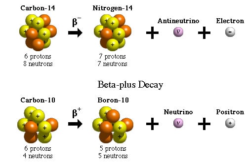 beta plus decay