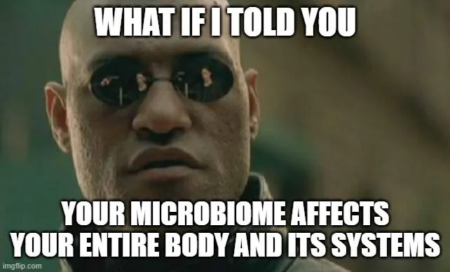 Our body works with help from our microbiome.
