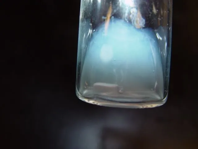 Blue blood of horseshoe crabs