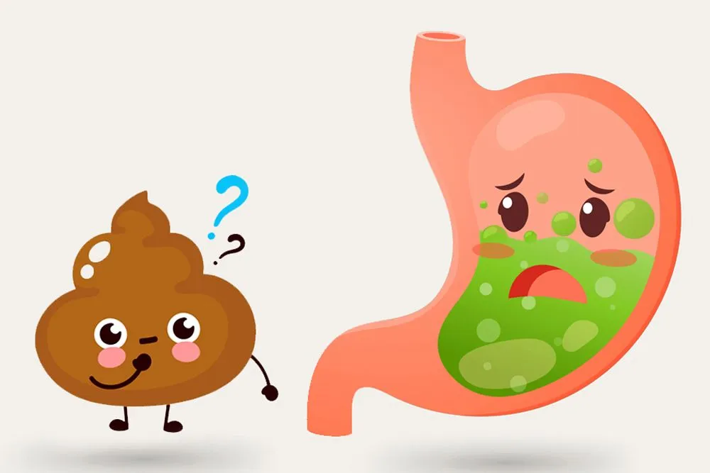 If The Stomach Adds Acid To Digest Food, Why Isn't Our Poop Acidic?