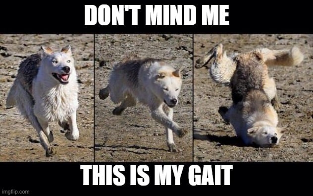 I guess not everyone can have a sophisticated walk.