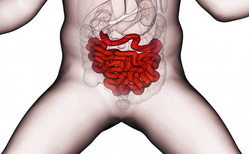 How Do Babies' Guts Change As They Grow?