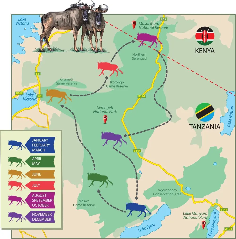 wildebeest migration shown on the map(EreborMountain)s