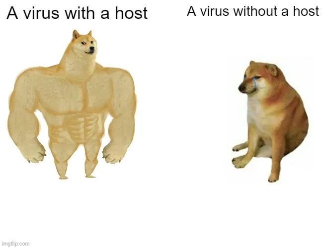 Viruses aren’t so tough on their own.