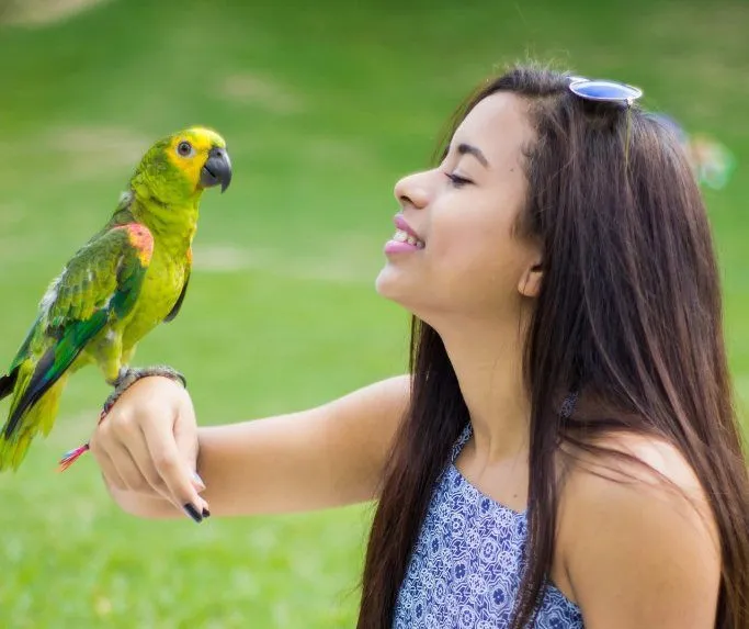 Why Do Parrots Talk?