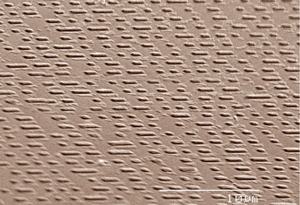 Colored SEM of code on compact disc