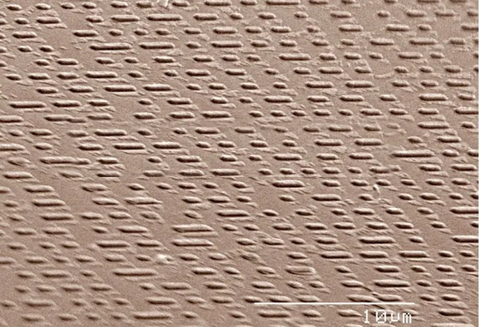 Colored SEM of code on compact disc