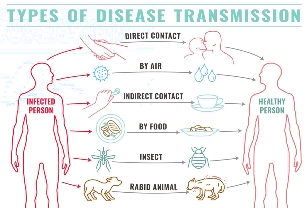 Infectious,Disease,Transmission,Landscape,Poster.,Virus,Pandemic,Transfer.,Human,Factor.