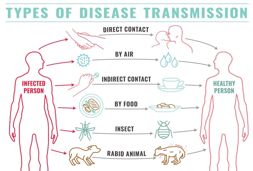 Infectious,Disease,Transmission,Landscape,Poster.,Virus,Pandemic,Transfer.,Human,Factor.