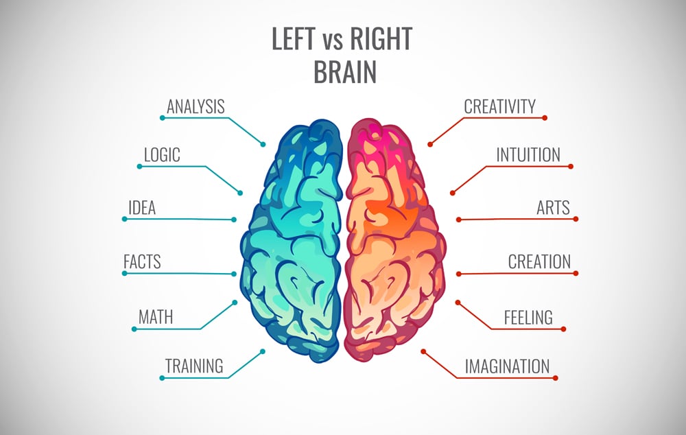 Left and right human brain concept. Creative part and logic part with social and business infographics vector illustration