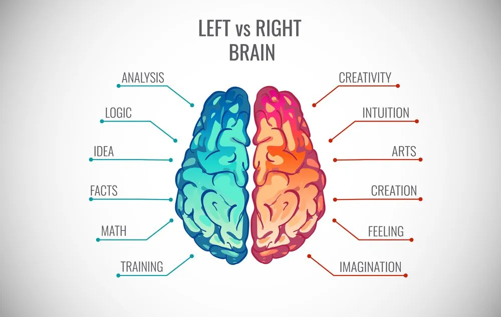 Left and right human brain concept. Creative part and logic part with social and business infographics vector illustration