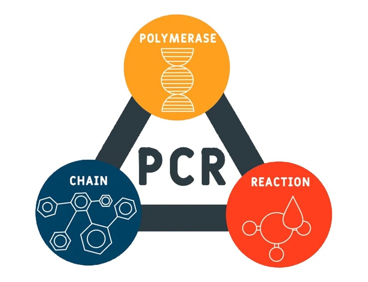 PCR - Polymerase Chain Reaction acronym