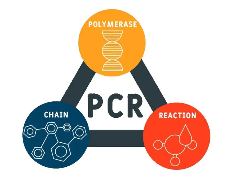 PCR - Polymerase Chain Reaction acronym