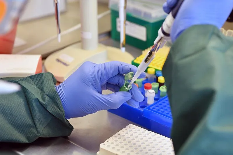 What Is A Polymerase Chain Reaction And How Does It Work?