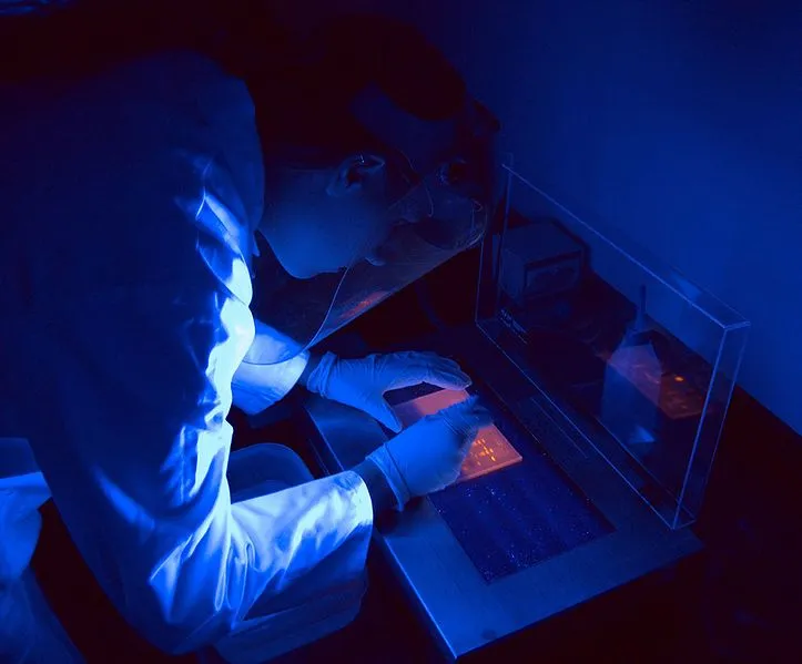 What Is Gel Electrophoresis? How And Why Is It Useful?