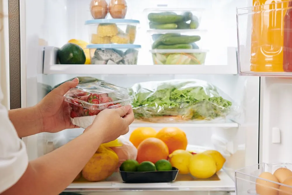 Why Does Food Stay Fresh For Longer If Stored In A Refrigerator?
