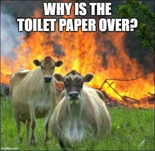 It better by 3-ply!