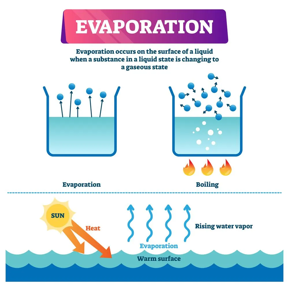 Evaporation vector illustration. Labeled liquid surface substance change to gas state scheme. Educational explanation diagram with nature phenomenon when sun heats warm water and triggers rising vapor