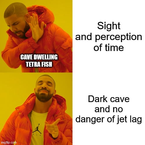 Sight and perception of time meme