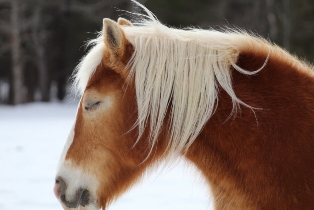 sleepy-time_t20_Qzjpjj