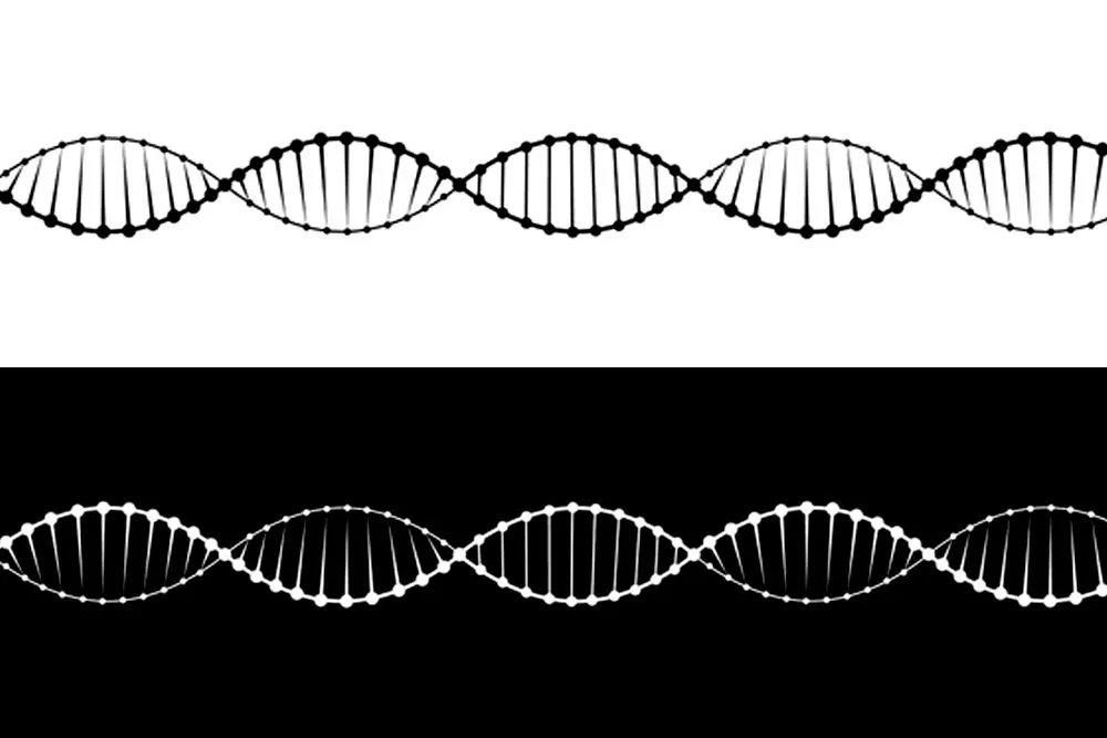 Human Chimera: Definition, Types, Examples, And Case Studies