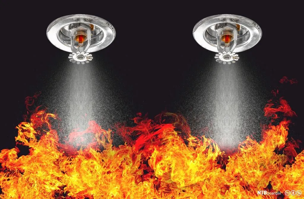 How Do Fire Sprinklers Work?