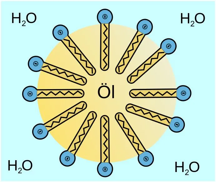Surfactant-oil-droplet_in_water