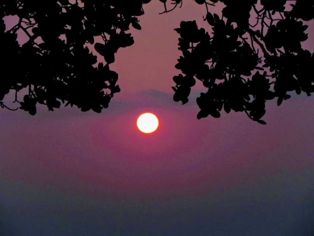 no-filters-just-natural-bliss_t20_7ylROv