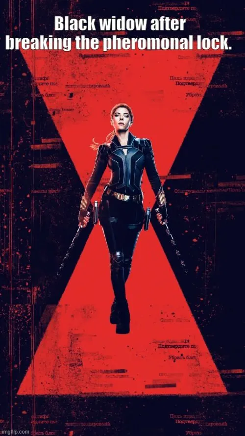 Black widow after breaking the pheromonal lock meme