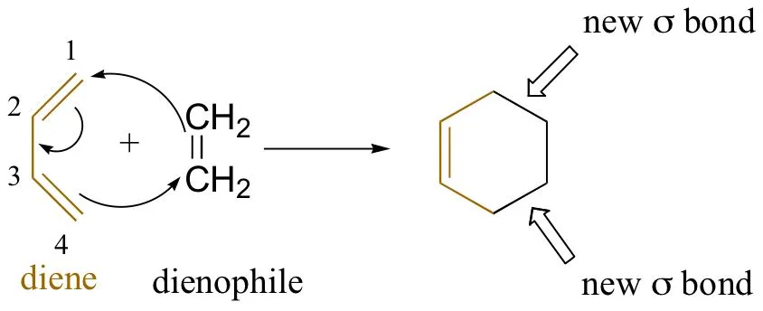 Diels-Alder reaction between buta-1,3-diene and ethene