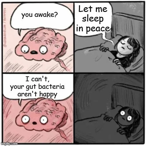 If your gut bacteria can’t sleep well, neither can you.